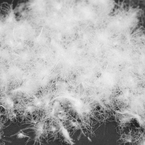 Original Design Long Gothic Jacket For Women